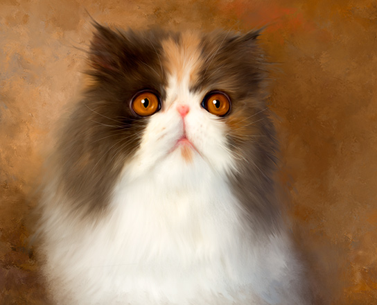 painted pet portraits