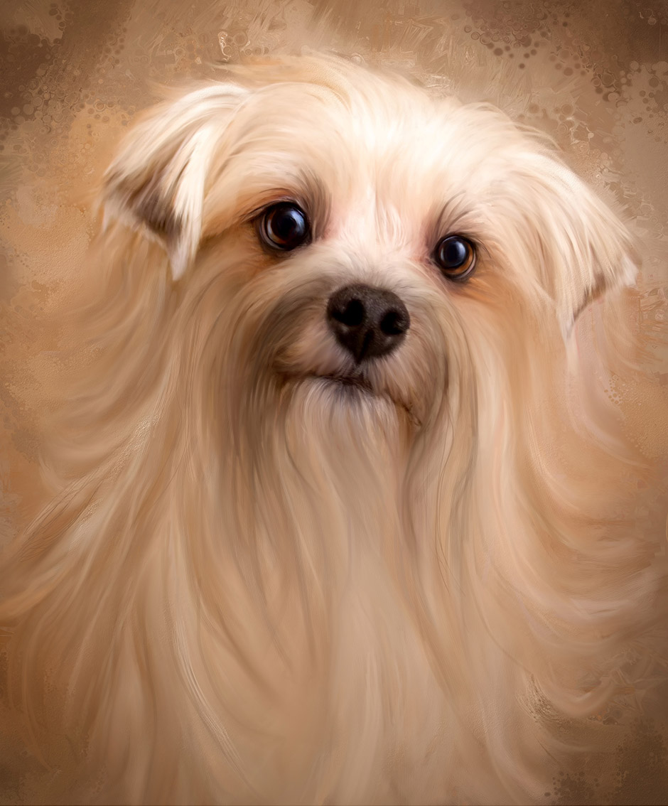 mixed breed painting