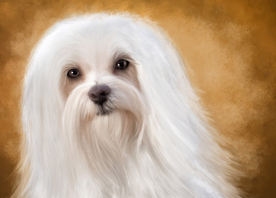 maltese painting