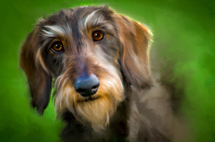 pet painting