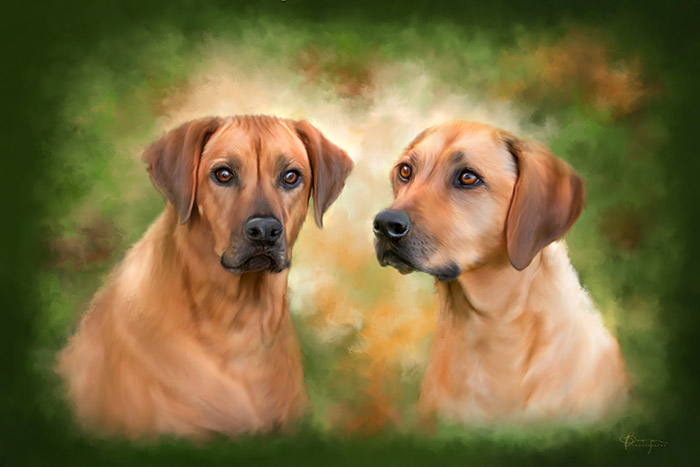 pet painting