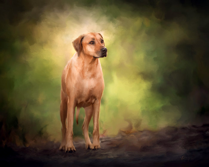 rhodesian ridgeback painting