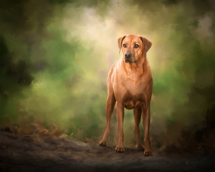 rhodesian ridgeback painting