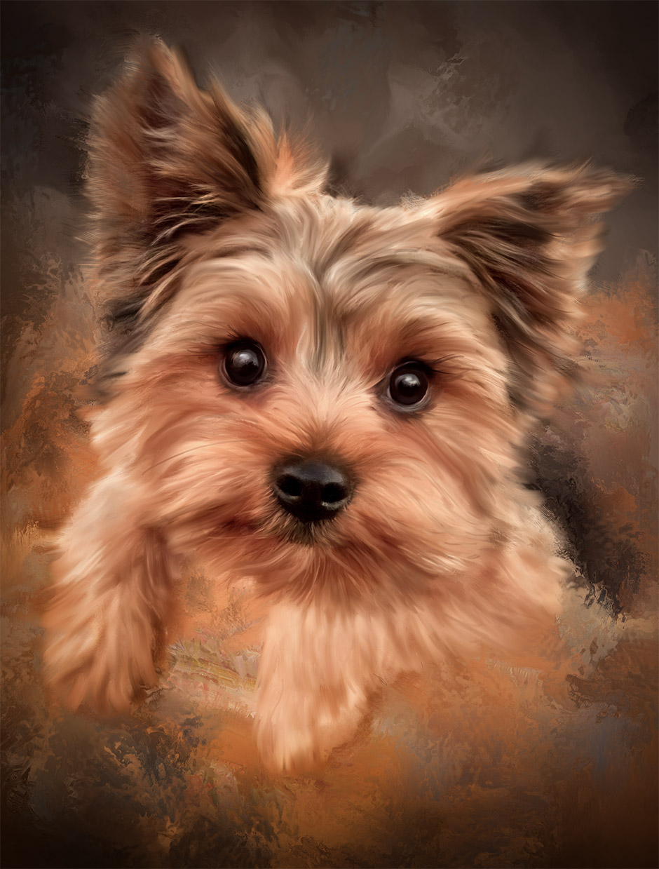 yorkie painting