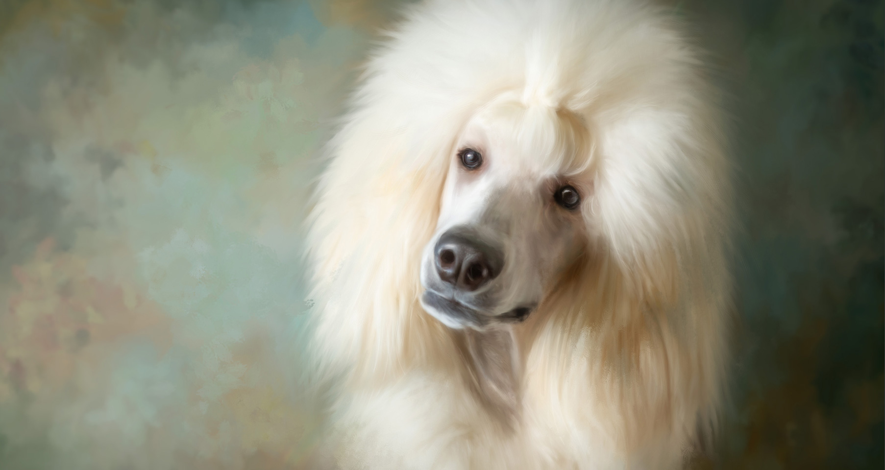 pet paintings